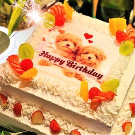 「サプライズコース」by 渋谷ガーデンスペース 道玄坂店