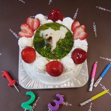 コシジ洋菓子店(柴又)- 1968年創業の伝統が育む、誰からも愛される美味しさ