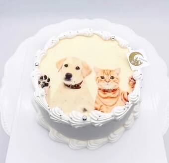 「シンプルお写真丸形ケーキ」by Luna KOBO(ルナコーボー)