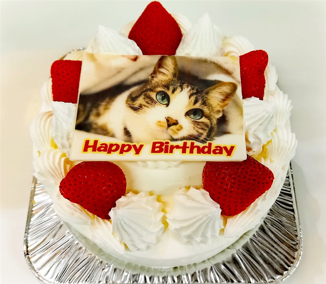 マリオネット洋菓子店