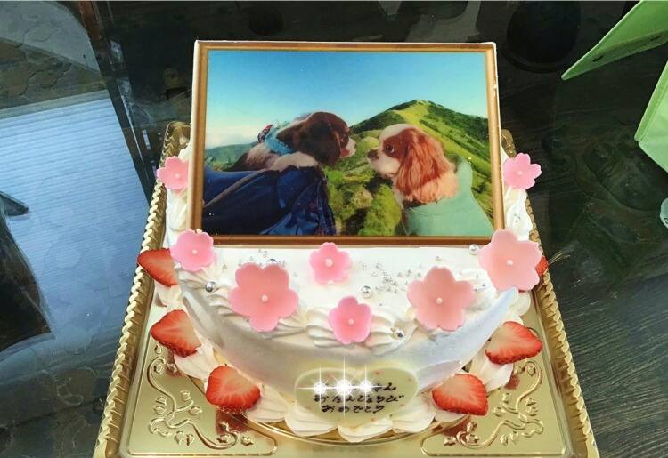 パティスリー grace (グレース) - こだわりを形に!究極のオーダーメイドと推し活の聖地